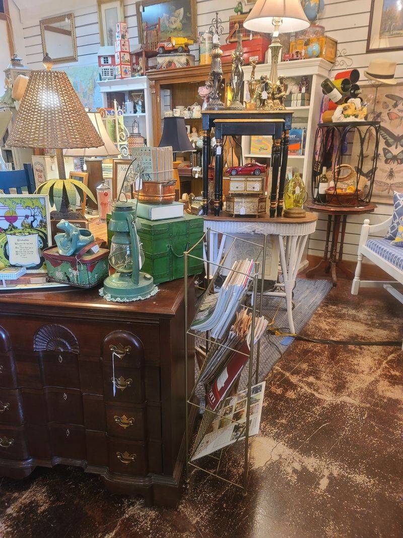 Expert Knowledge That Educates While You Shop