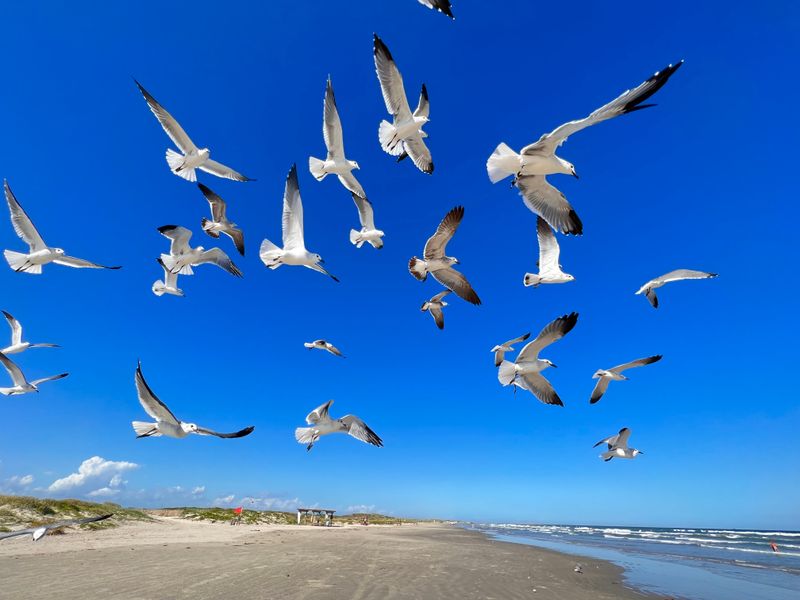 Birding Opportunities Draw Enthusiasts Year-Round