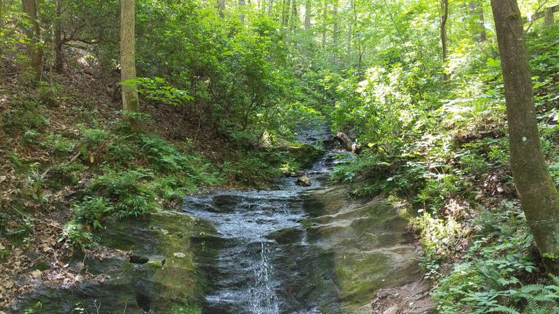 Trail System Through Appalachian Forests
