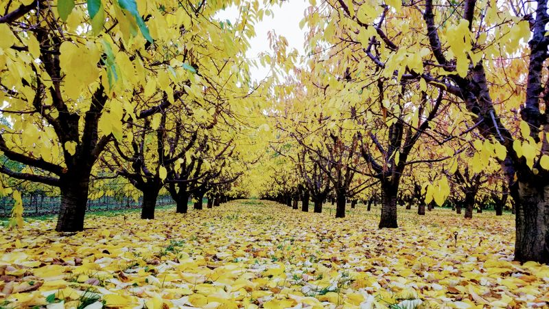 Experienced Guides Who Know the Land