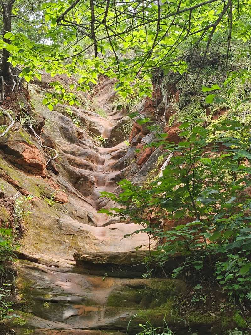 Wildlife Thrives in Protected Canyon Ecosystem