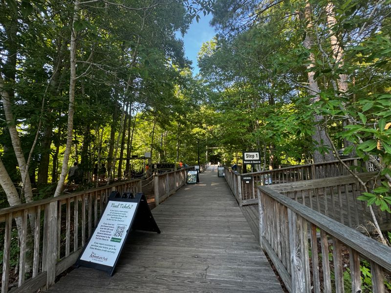 Practical Details That Smart Visitors Know