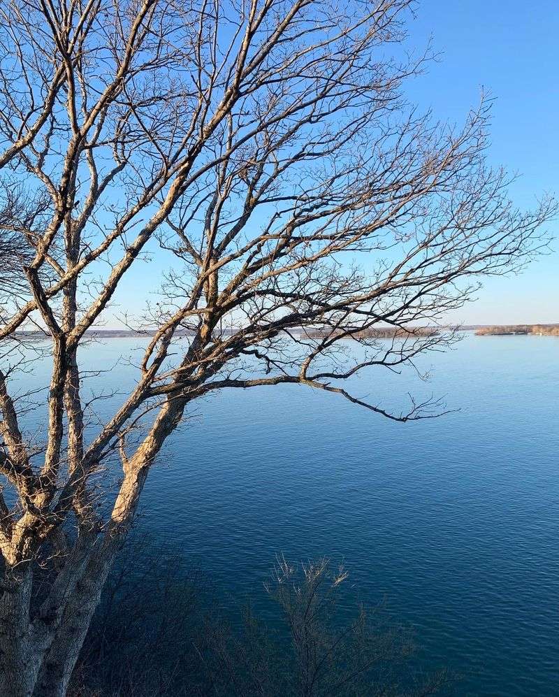 What Remains of Paradise