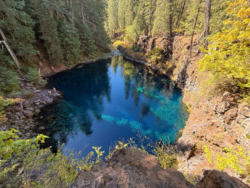 Tamolitch Blue Pool, McKenzie River