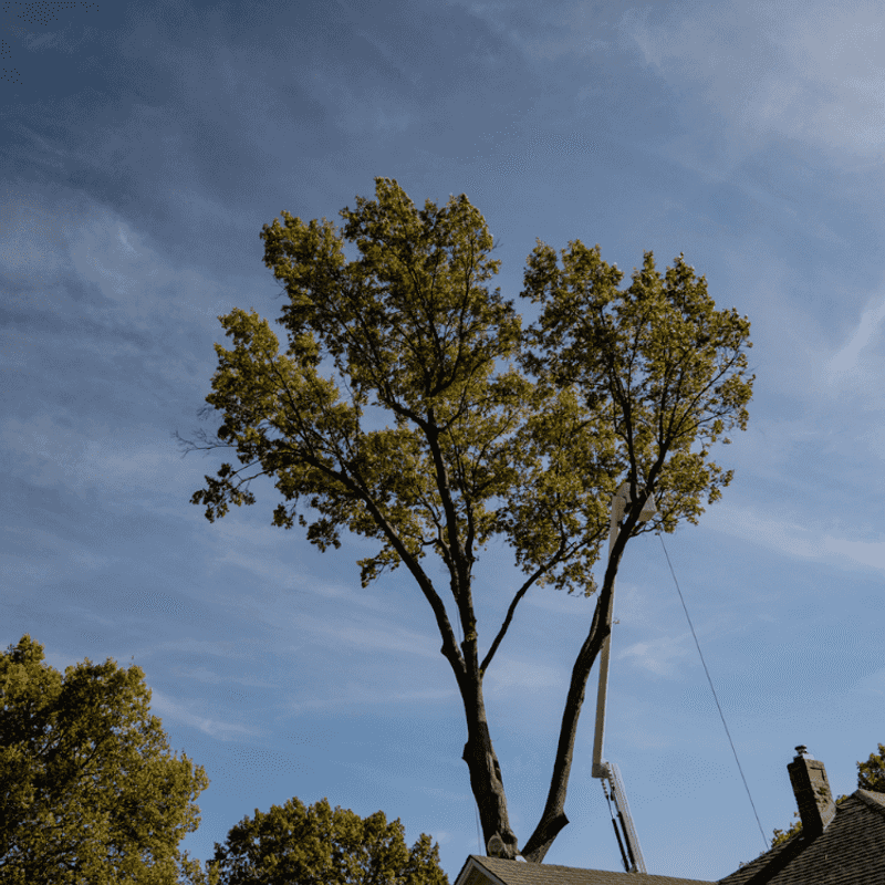 The Quiet Sneaks Up on You