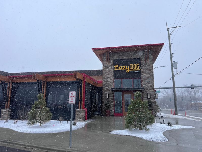 Lazy Dog Restaurant & Bar