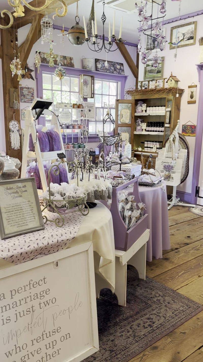 Gift Shop Treasures Worth Every Penny