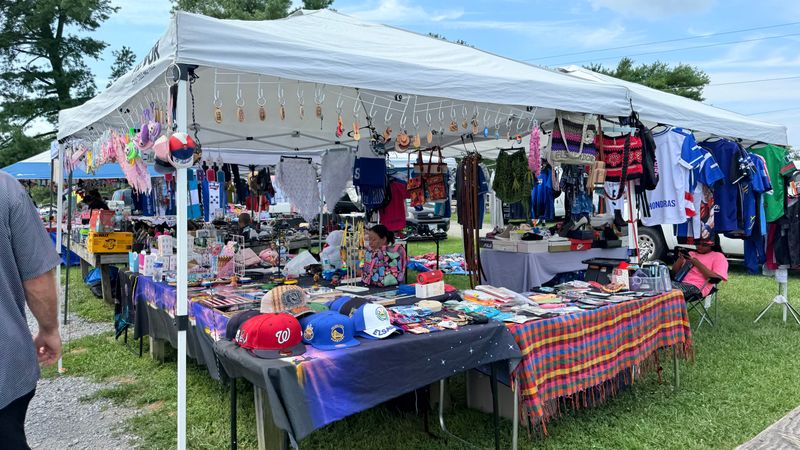 Social Spectacle Experience