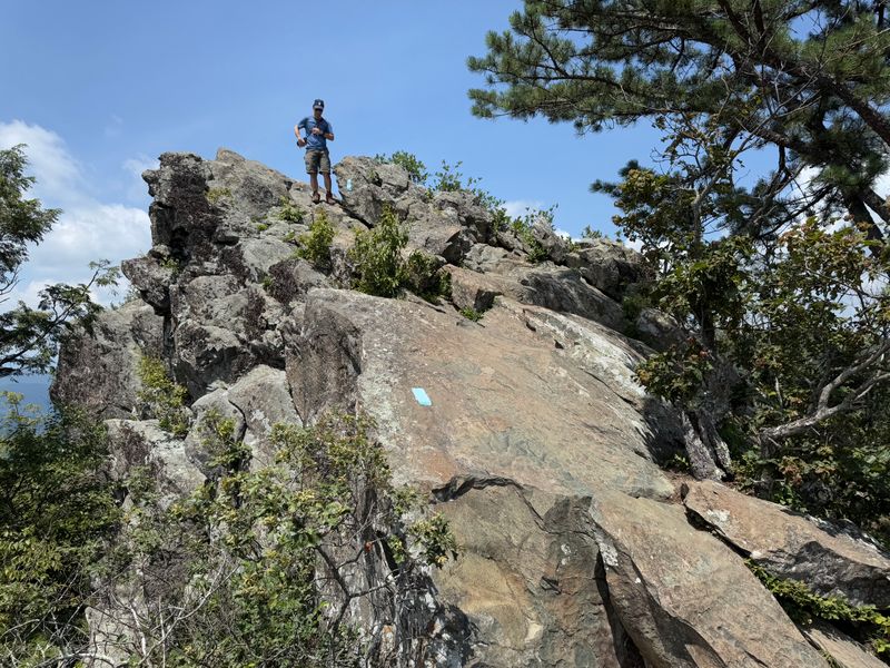 Not For Those Afraid Of Heights