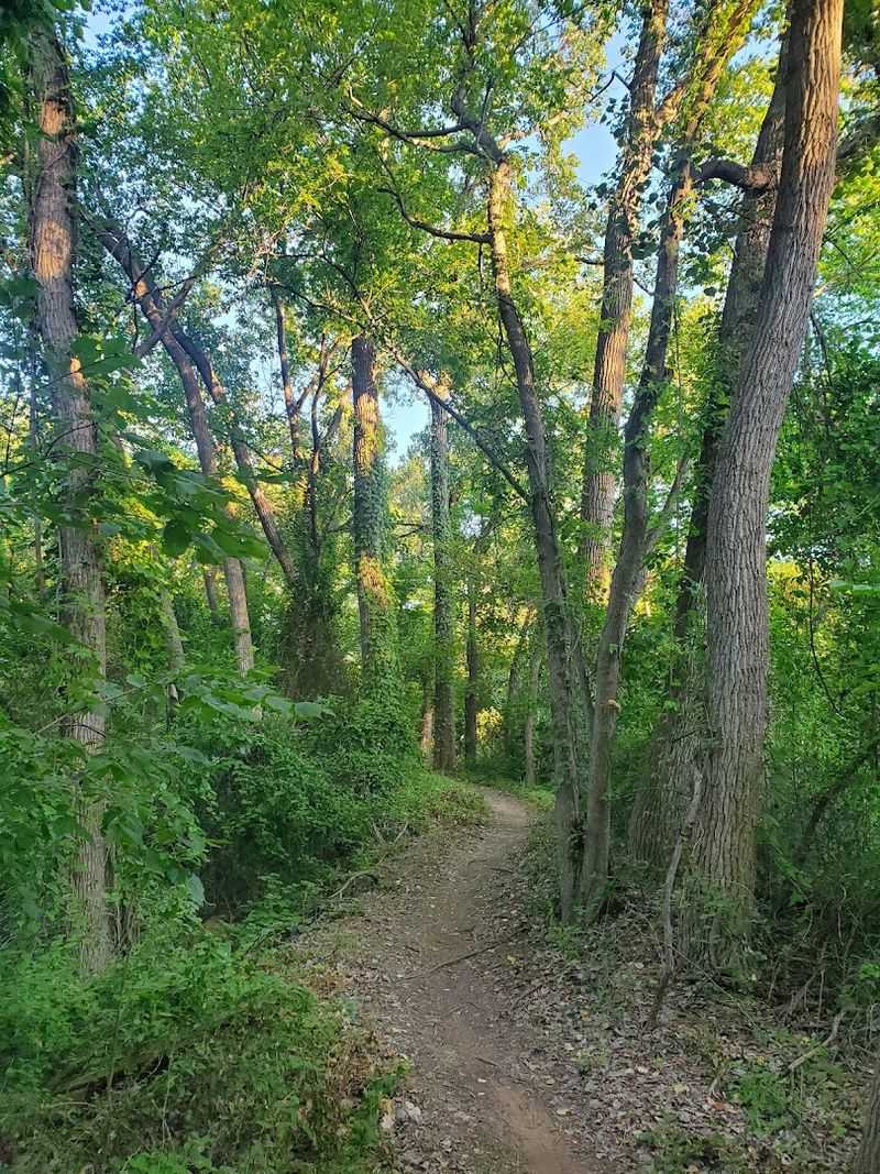 The Trail System That Keeps Surprising You