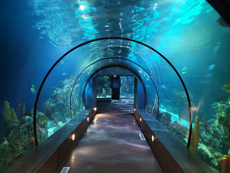 Aquarium Pyramid Dives Deep Without Getting Wet