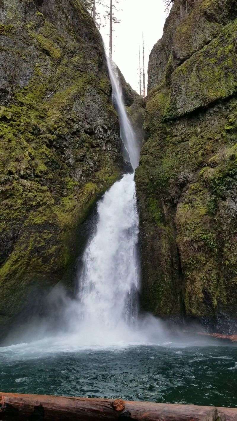 Wahclella Falls Trail, Columbia River Gorge