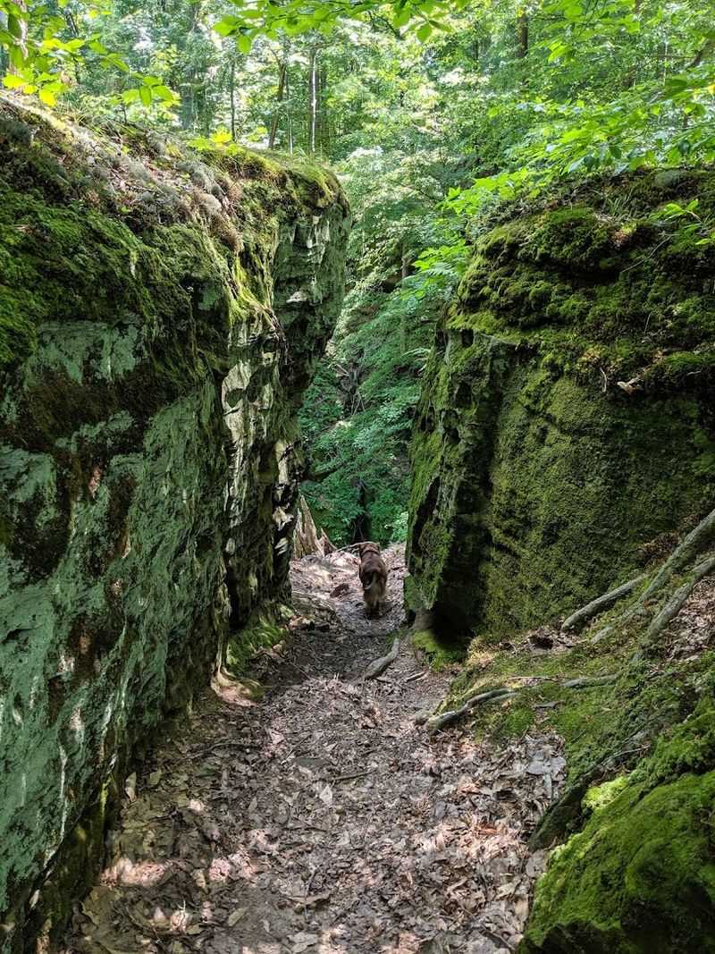 Peaceful Solitude That Is Almost Impossible to Find This Close to Indianapolis