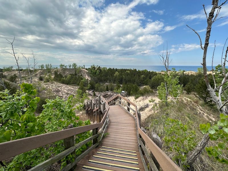 A Landscape That Shifts Dramatically From Marsh to Forest to Towering Sand Dunes