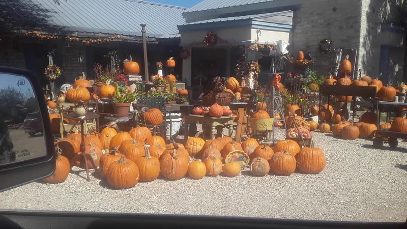 Experiencing Small-Town Festivals and Events