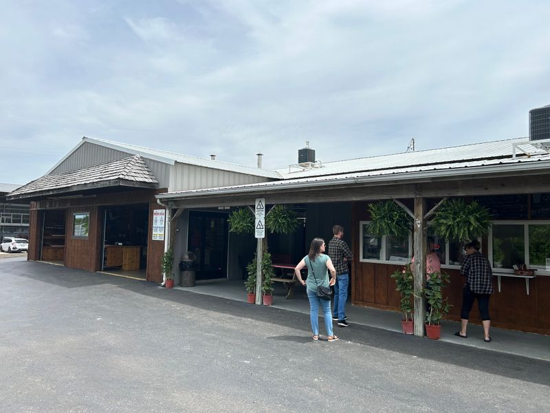 Quiet Main Street Culture