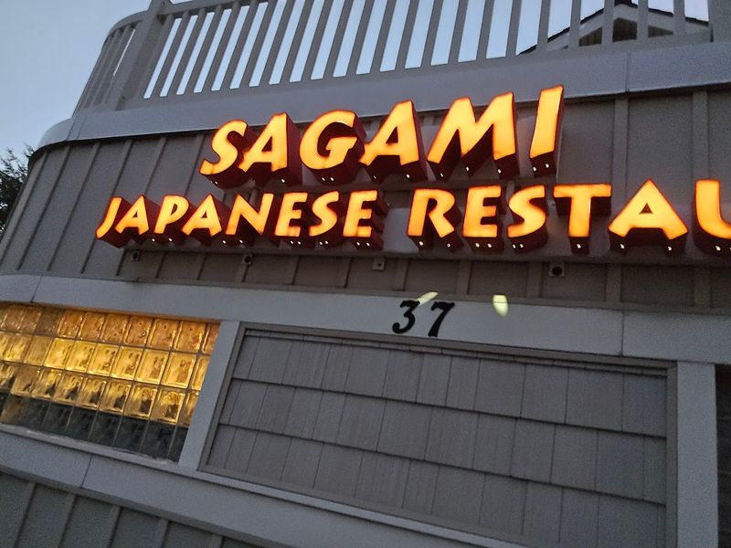 Sagami Japanese Restaurant, New Jersey
