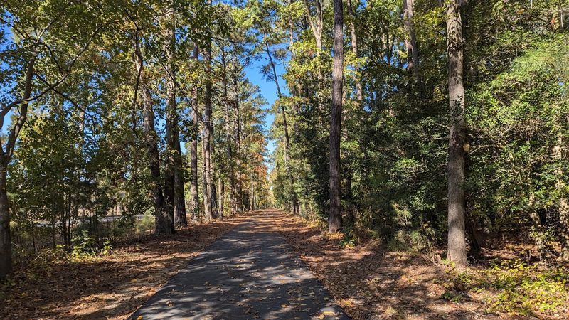 Year-Round Riding Conditions