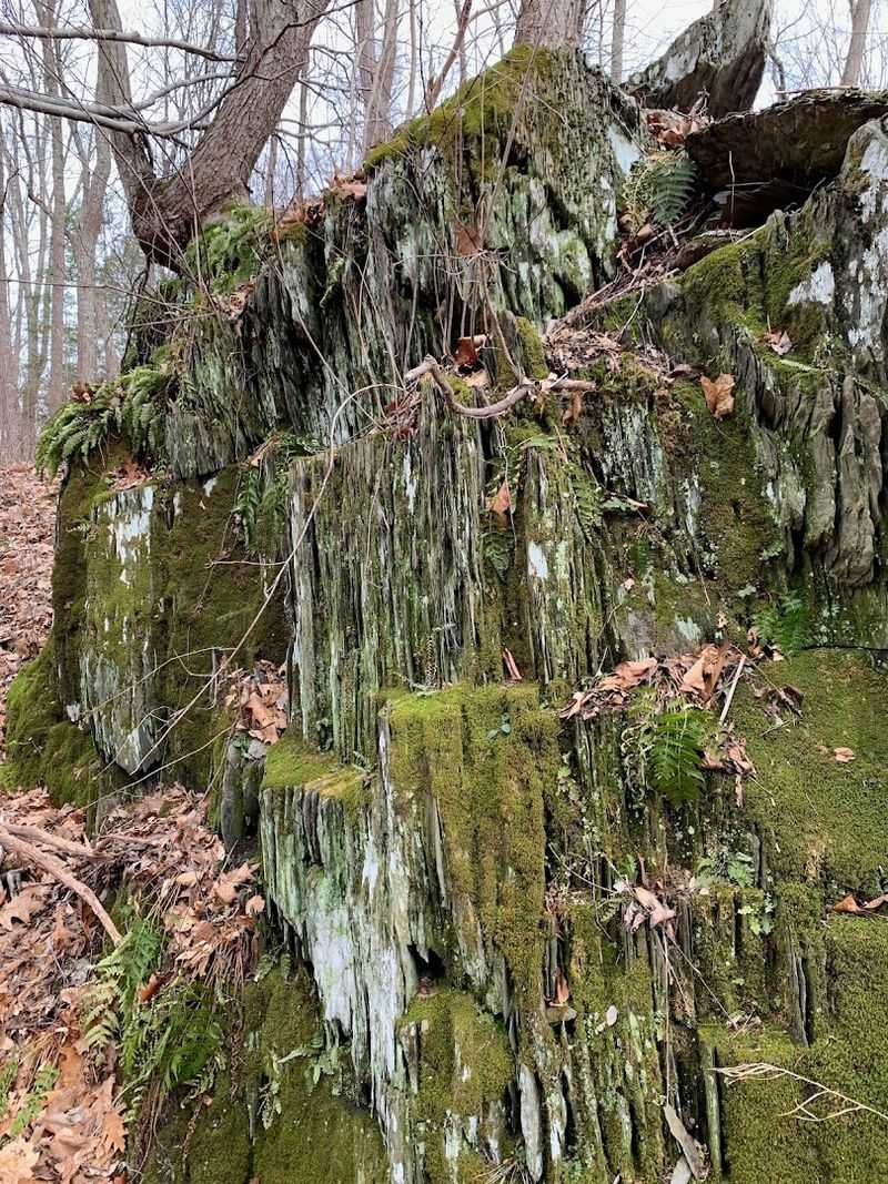 Seasonal Changes And Best Times To Visit