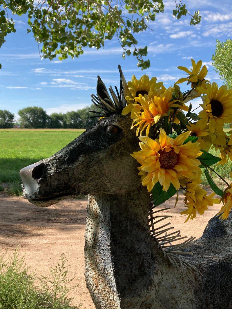 Rio Grande Community Farm
