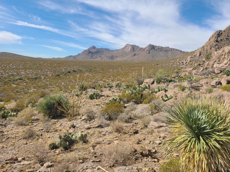 Chihuahuan Desert Nature Park
