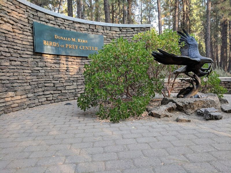 Birds of Prey Flight Demonstrations