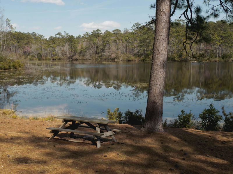 Quiet Outdoor Spaces Without Big Crowds