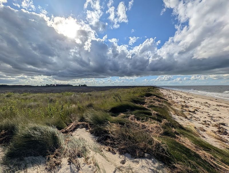 Grandview Nature Preserve, Hampton, Virginia
