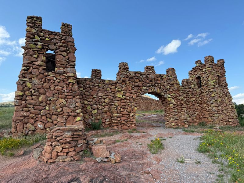 Wildlife Photography That Fills Memory Cards