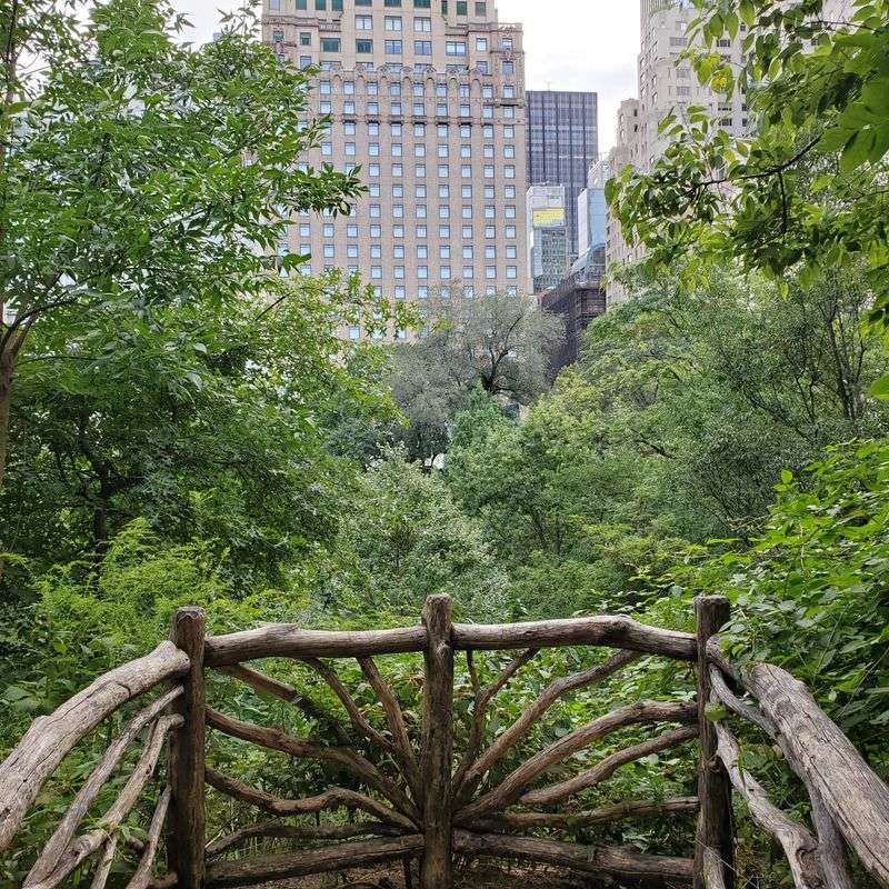 Central Park Zoo Vs. Hallett Nature Sanctuary Central Park Zoo Vs. Hallett Nature Sanctuary