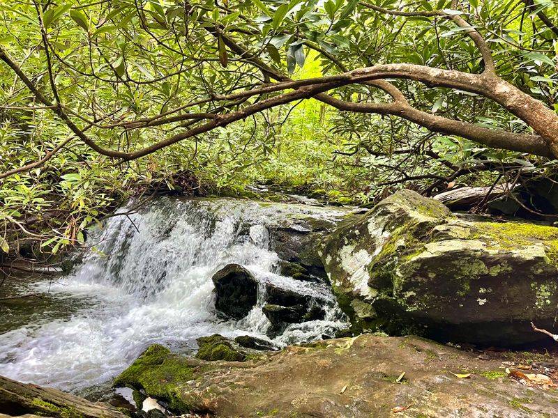 Mountain Rainforest Atmosphere Year-Round