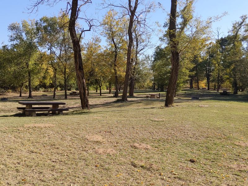 What to Bring for a Successful Primitive Camping Trip