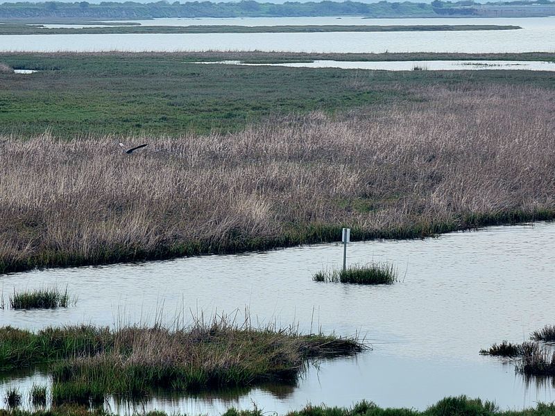 Mosquitoes Remind You to Come Prepared