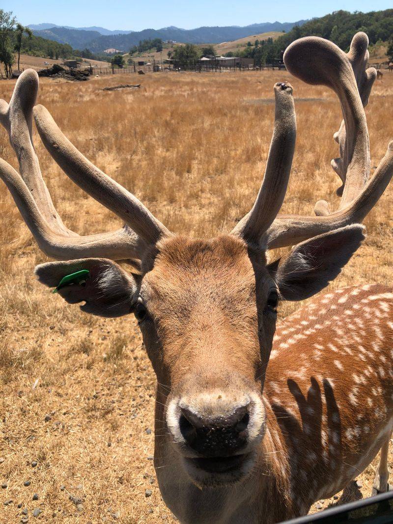 Open 363 Days Per Year Rain or Shine