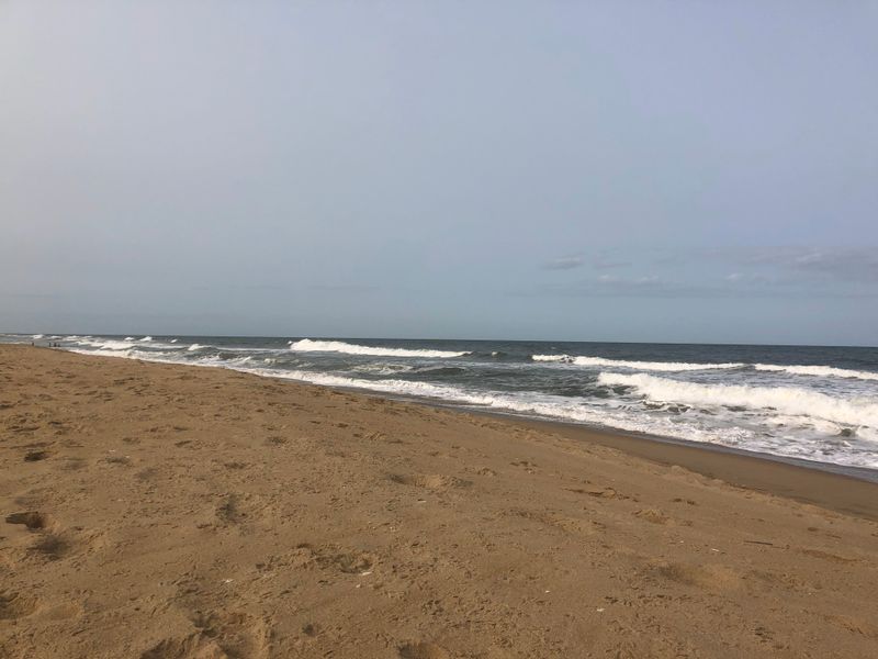 False Cape State Park Wilderness