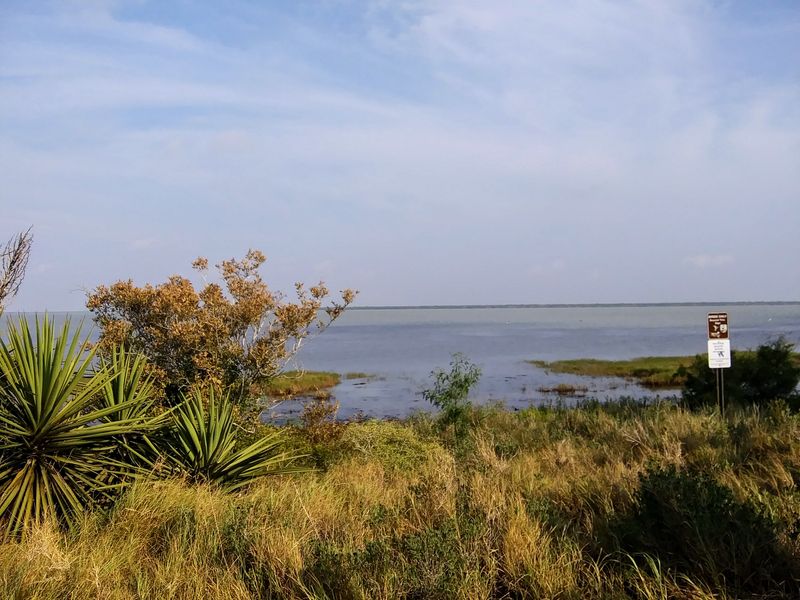 Laguna Atascosa National Wildlife Refuge