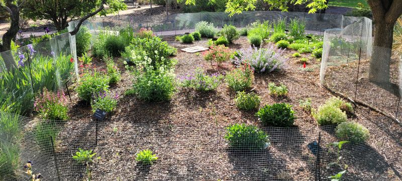 Rio Rancho Water Wise Demonstration Garden