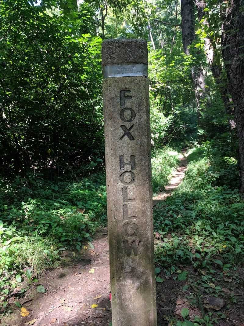 Fox Hollow Trail, Shenandoah National Park, Virginia