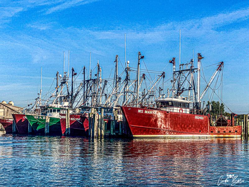 Friday Morning Dock Tours That Educate and Fascinate