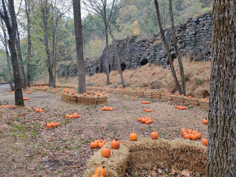 Pumpkin Patch Adventures Combined With Railway Romance