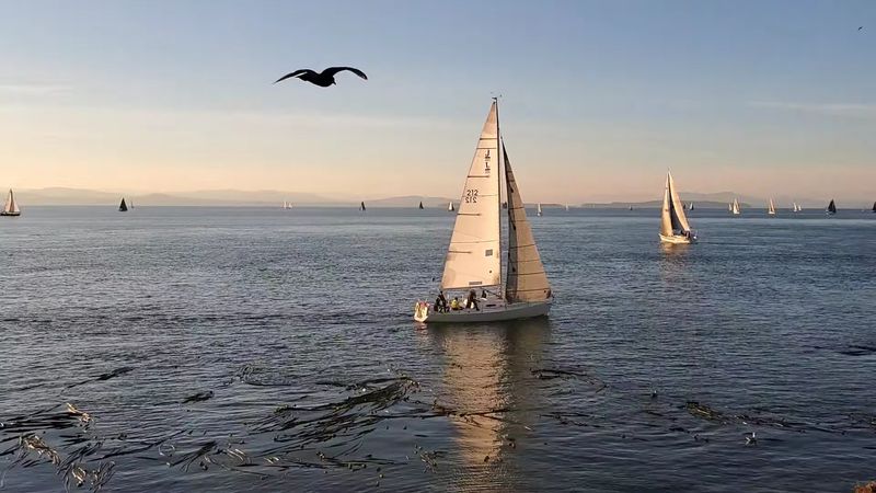 Sunset Spots That Make Dinner Plans Feel Optional