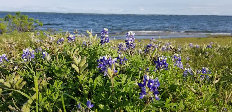 Bird Watching That Sneaks Up on You