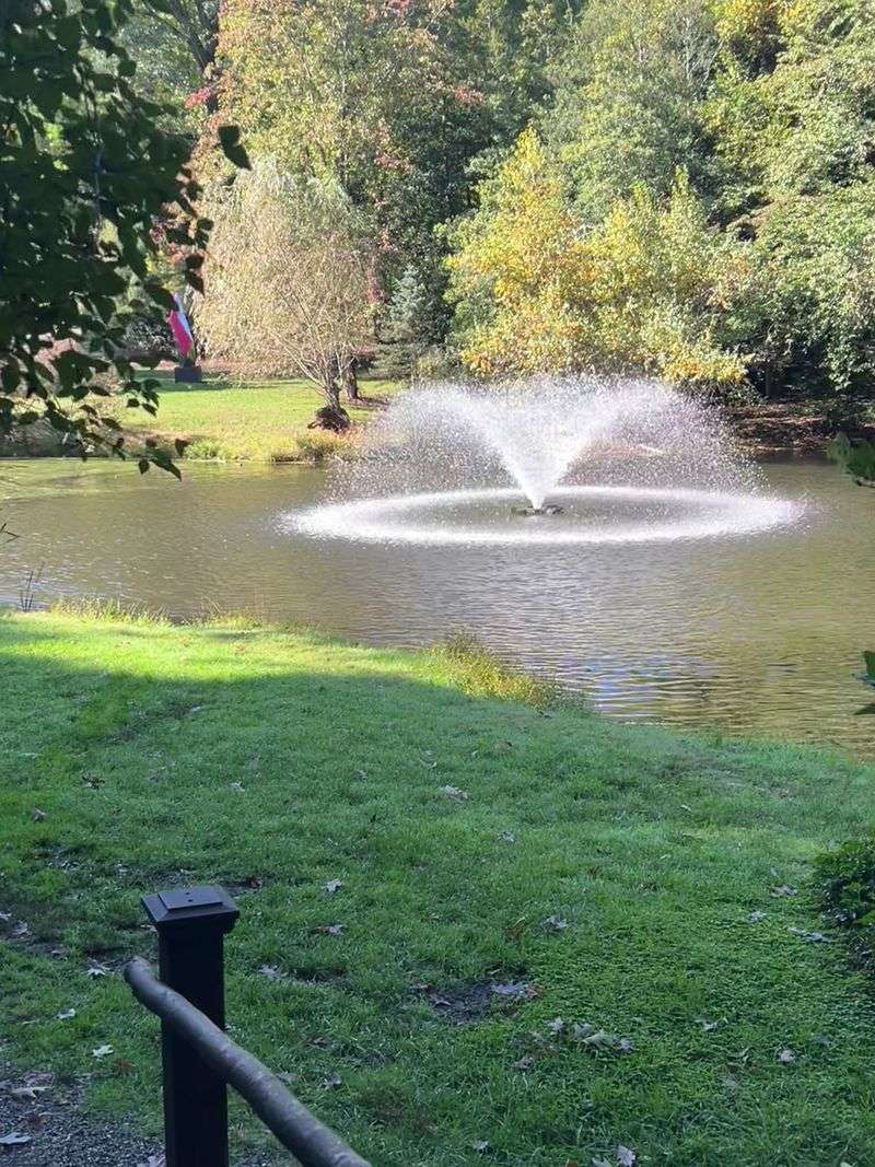 Tranquil Pond With Fountain 