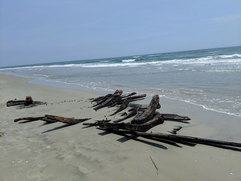 The Tidal Flats: A Whole World Between the Tides