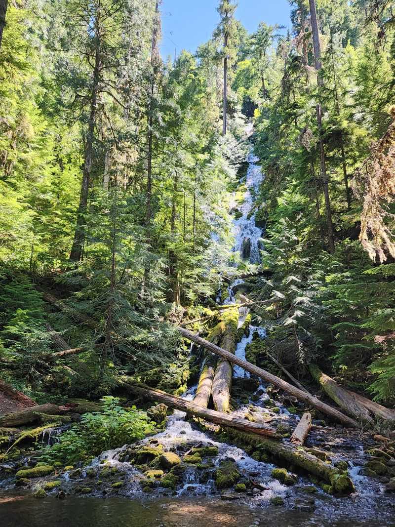 Part of the Three Sisters Wilderness