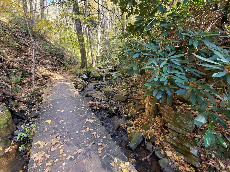 Planning Your Visit: Practical Tips to Make the Most of Tillman Ravine