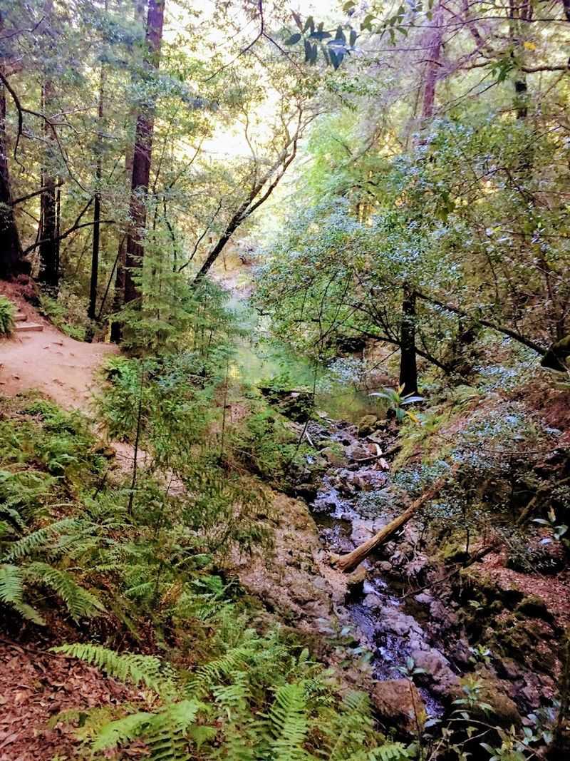 Wildlife Sightings Add Unexpected Bonuses