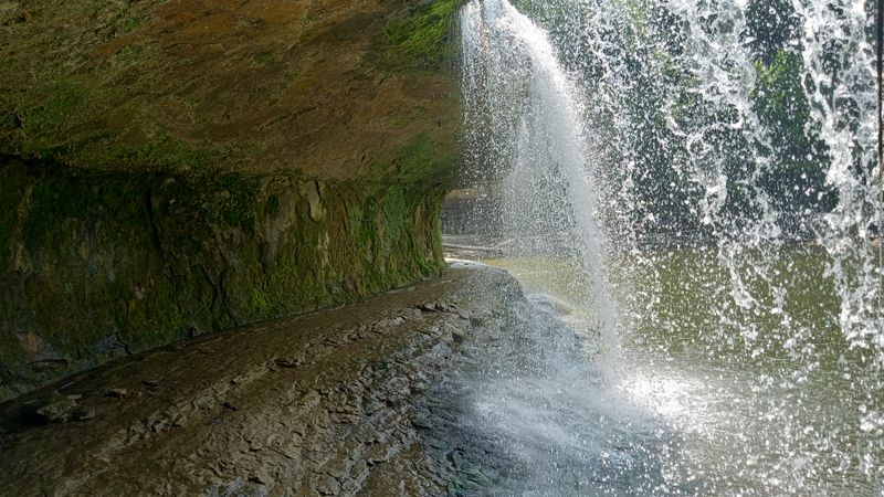 Up-Close Viewing Opportunities For Photography Enthusiasts