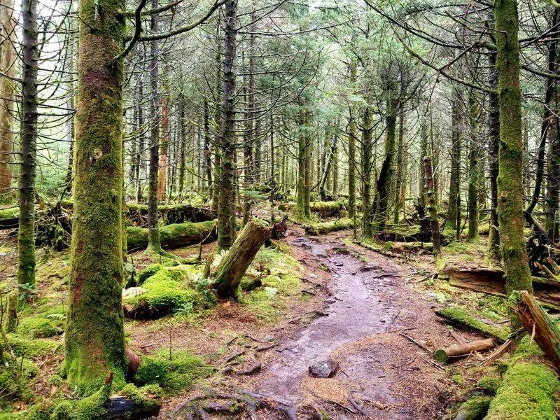 Planning Your Summit Adventure Right