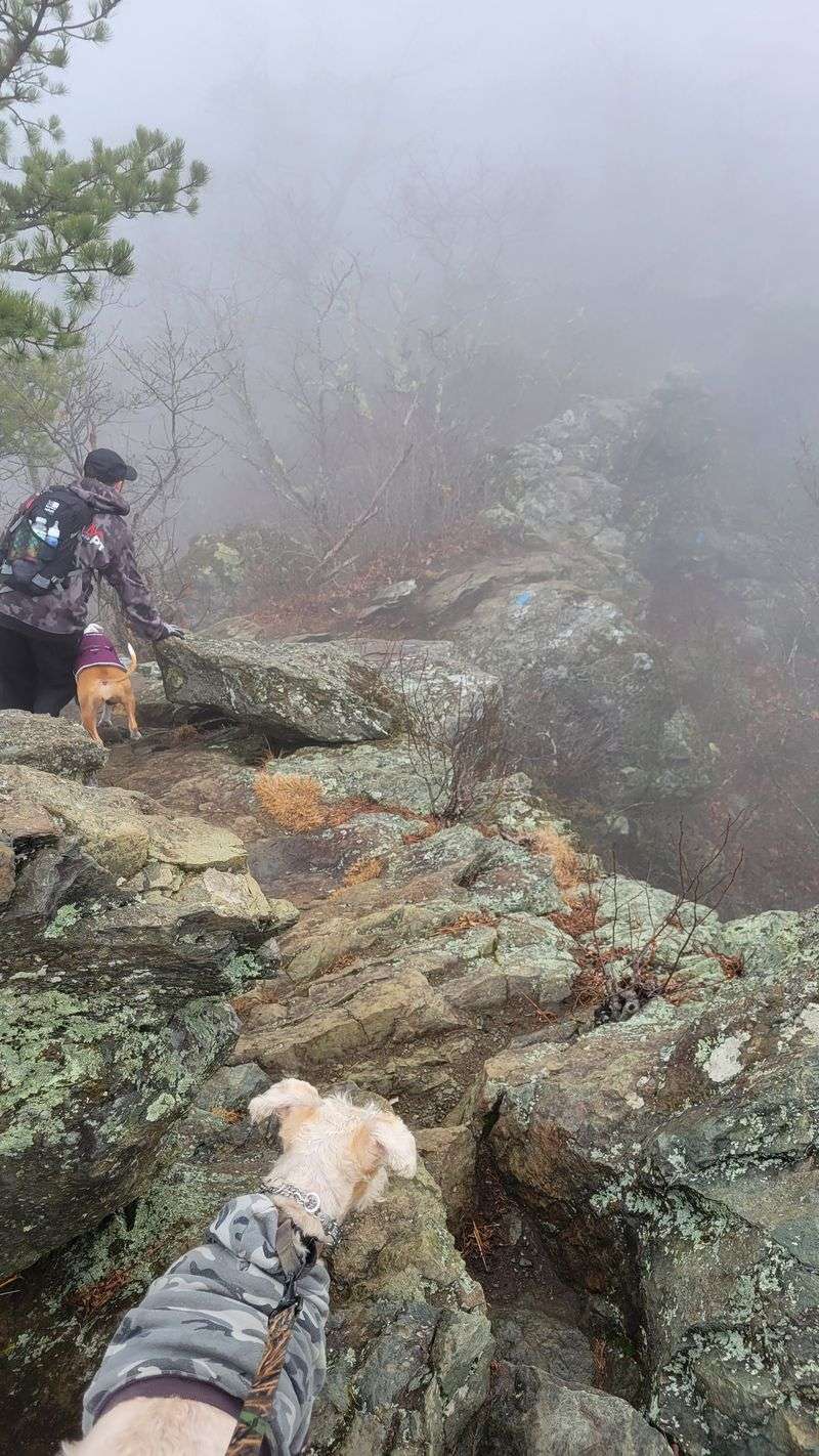 Trail Etiquette And Crowd Management